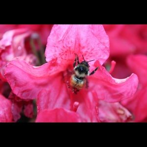 Meet your Posher, Shandala